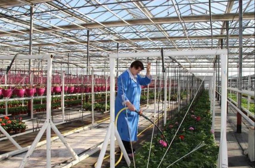 Андрей Воробьев: В Подмосковье количество проверок бизнеса сократилось на 53%