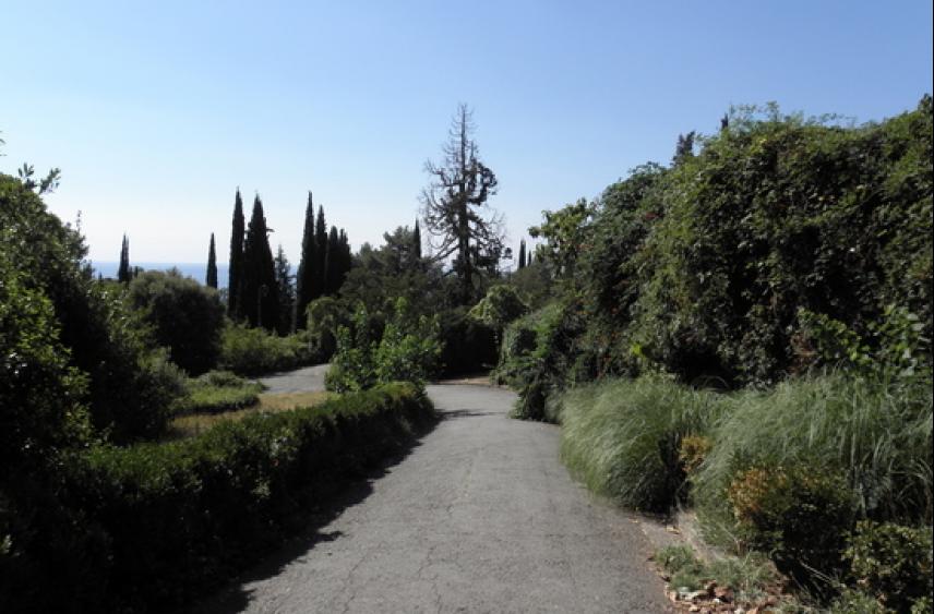 Ливадийский парк ждет масштабная реконструкция