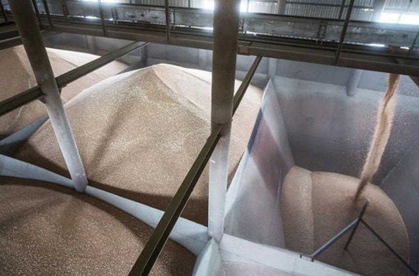 Правкомиссия одобрила перевод экспортных пошлин за зерно и масло в рубли