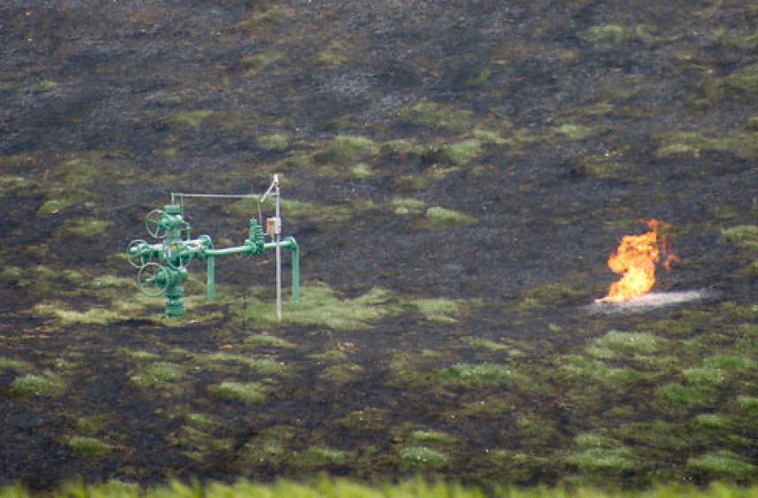 В Нидерландах заявили о возможном распространении газового кризиса на все страны ЕС