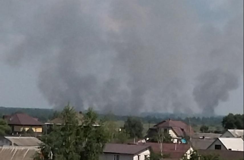 Природный пожар потушили в Великолукском районе