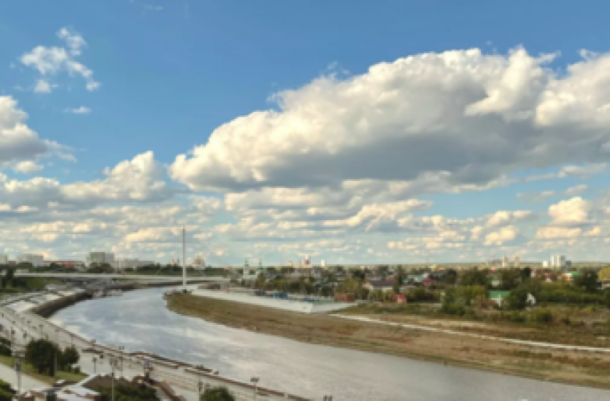 В Тюменской области почти 18,5 тысячи человек пострадали от клещей