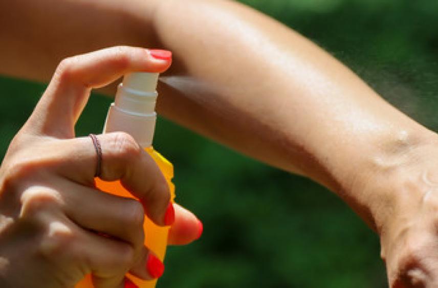 Дерматовенеролог Быханова рассказала об опасности насекомых и растений в жару