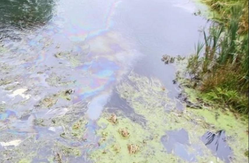 Специалисты Ярославкой области подтвердили факт загрязнения реки Нерль