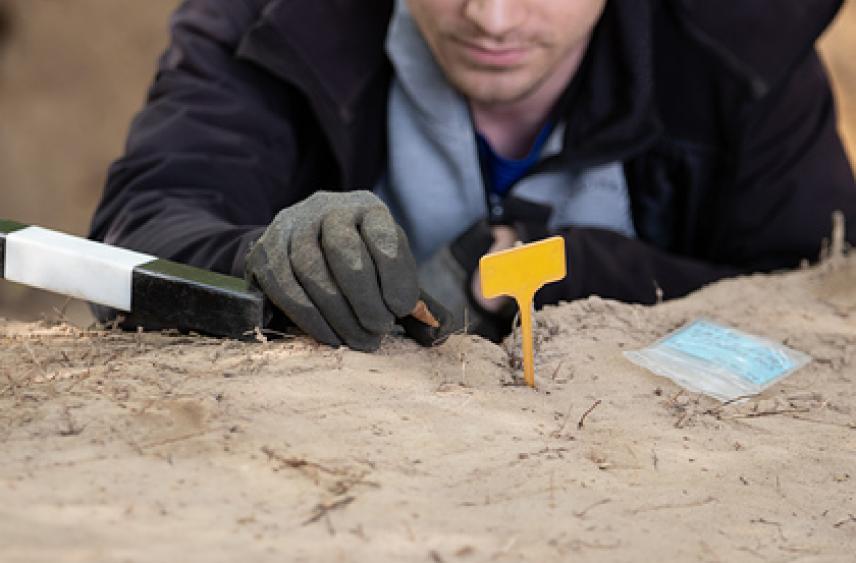На раскопках в Сычуане нашли множество древних артефактов культуры Саньсиндуй