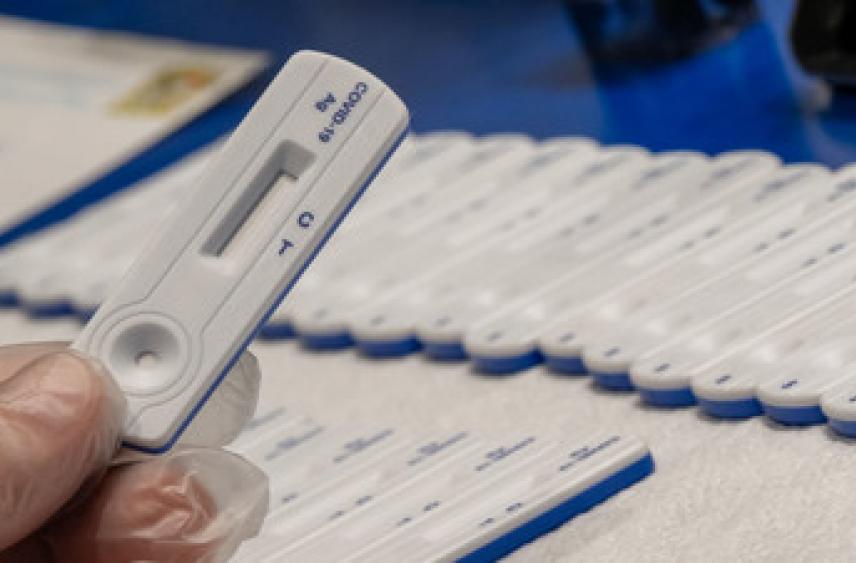 В Иркутской области выявили 80 случаев коронавируса за сутки