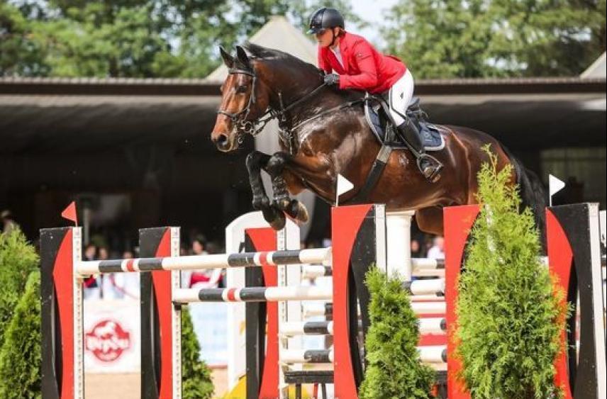 Межрегиональные соревнования ПФО по конкуру пройдут в Нижнем Новгороде