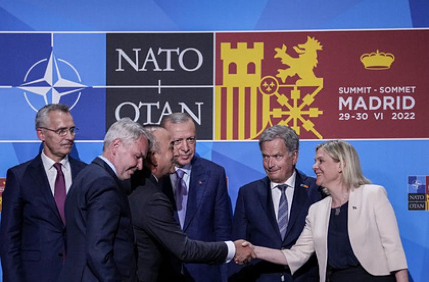 Значение вступления Швеции и Финляндии в НАТО для альянса оценили