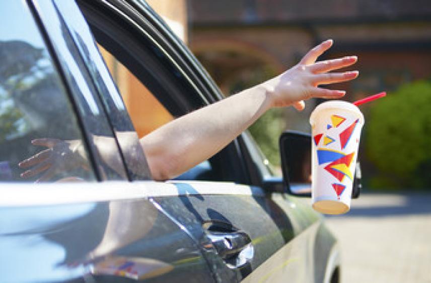 Госдума приняла закон о штрафах до 200 тысяч рублей за выброшенный из машины мусор