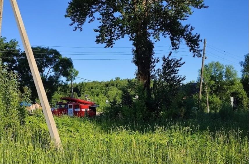 В Тверской области дети едва не устроили пожар, поджигая пух