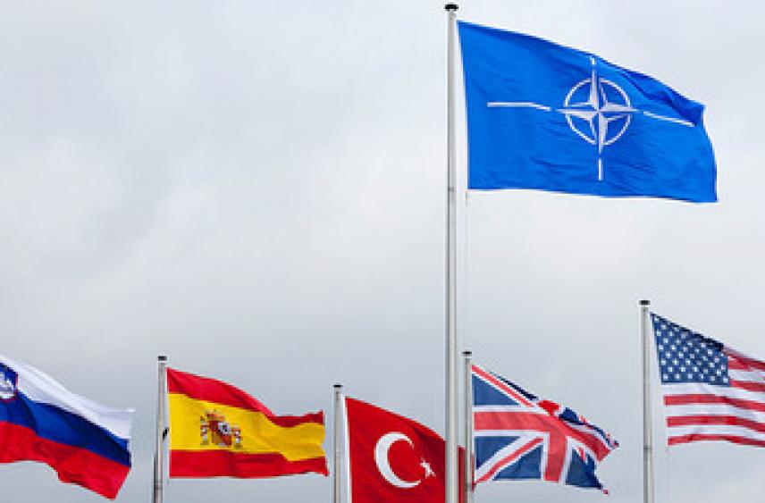 НАТО не готово давать Грузии обещаний о сроках вступления в альянс