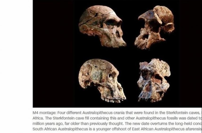 Некоторые виды австралопитеков оказались на миллион лет старше, чем считалось ранее