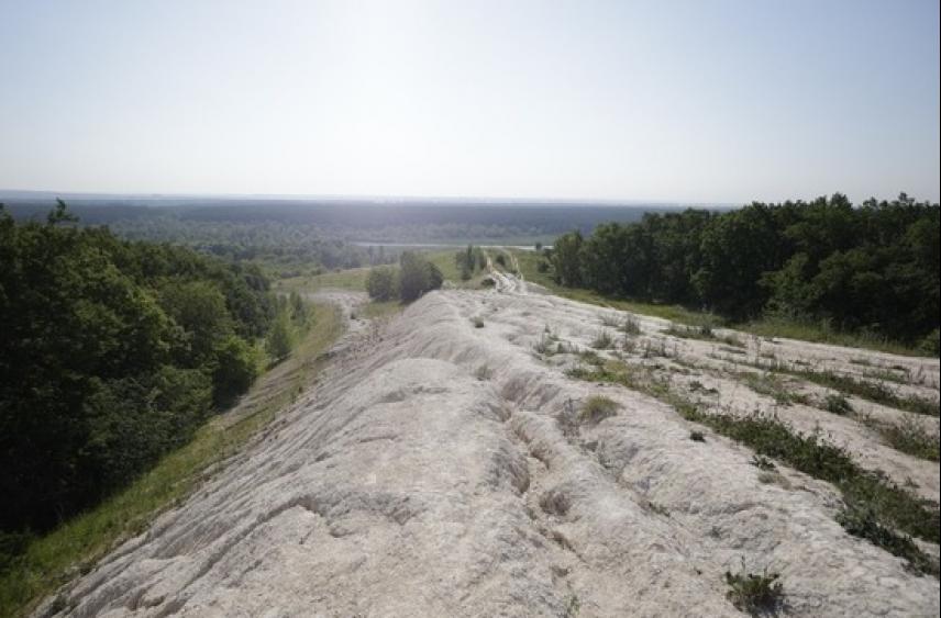В Белгородской области построят две новые лыжные трассы