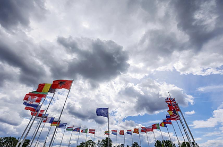 НАТО не захотела конфронтации с Россией