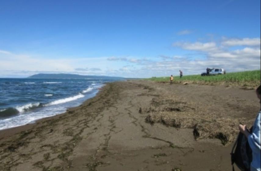 Тело мужчины в спасательном жилете обнаружили на побережье Сахалина