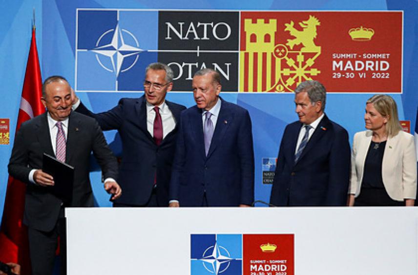 Названа новая причина нежелания Турции пускать Финляндию и Швецию в НАТО