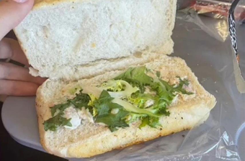 Пассажирка самолета заказала на борту обед и расстроилась до слез от его вида