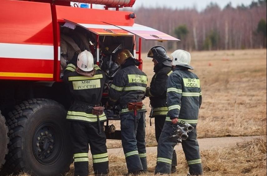 Под Тверью потушили лесной пожар