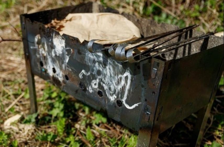 Разводить костры в лесу запретили псковичам из-за сильной жары