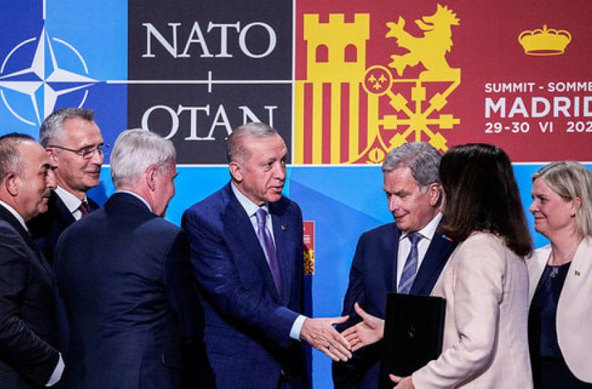 НАТО заявил о решении пригласить Финляндию и Швецию в альянс