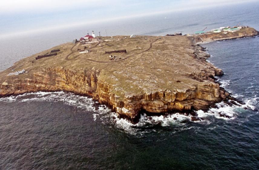 Минобороны назвало «шагом доброй воли» вывод войск с острова Змеиный