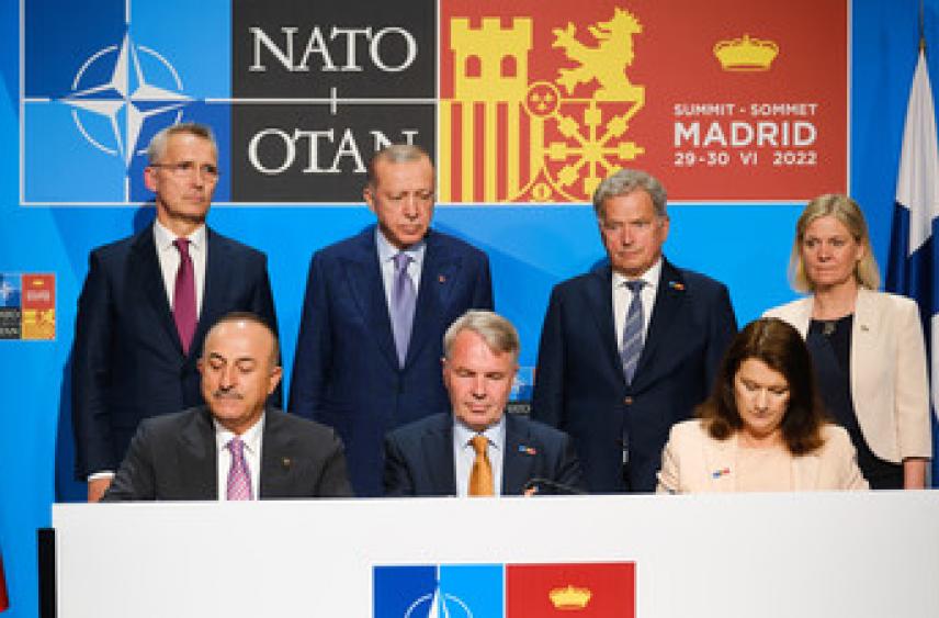 «Форсируют процесс присоединения»: что стоит за решением НАТО пригласить Финляндию и Швецию в члены альянса