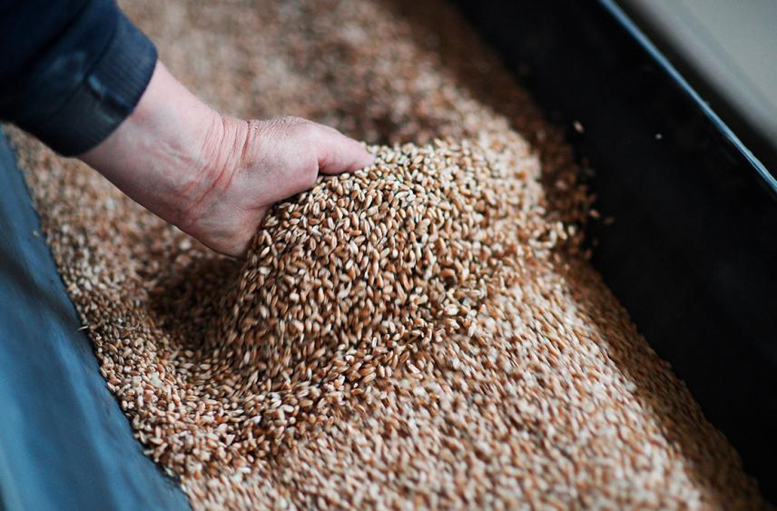 Минобоороны назвало причину, по которой отвели войска с острова Змеиный