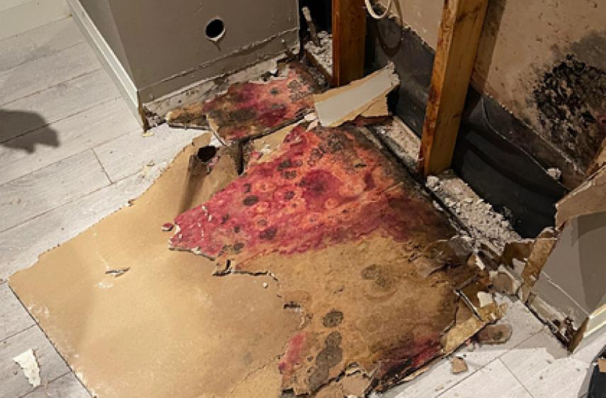 Мужчина переехал в новый дом и столкнулся с неприятной находкой