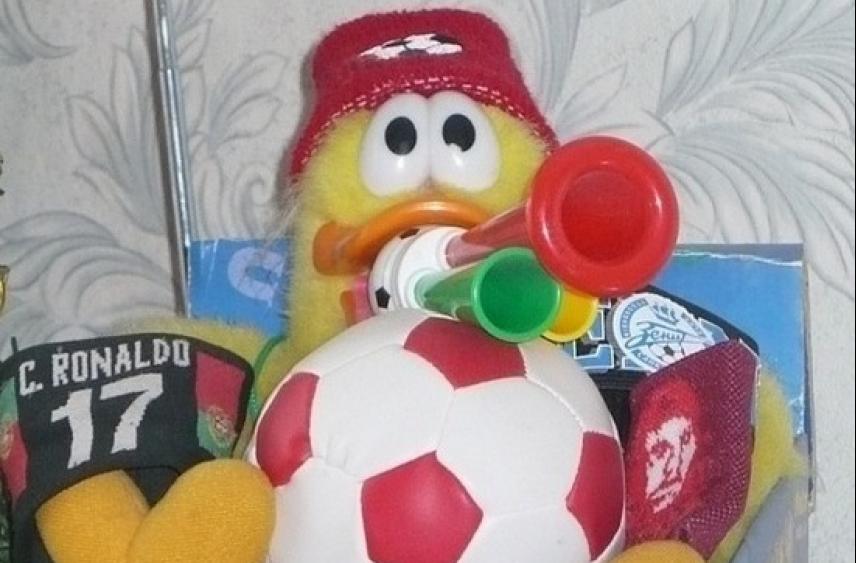 Туляки смогут оформить Карту болельщика