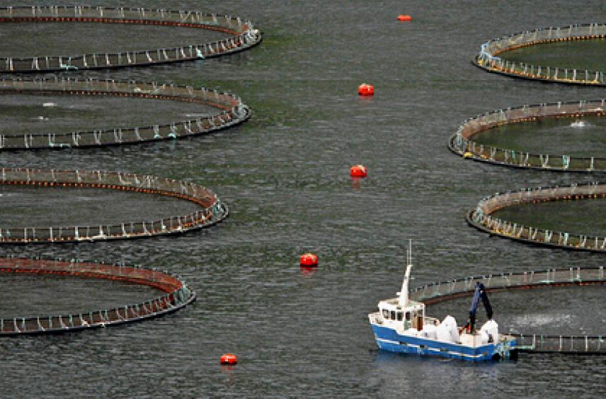 Лондон раскритиковал Фареры за пропуск российских судов в воды Британии