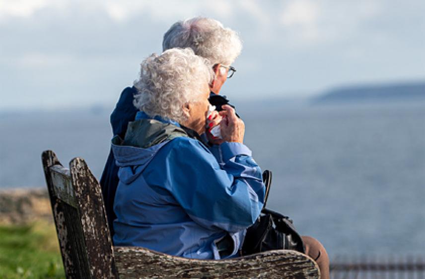 Раскрыты старческие изменения в когнитивных областях мозга