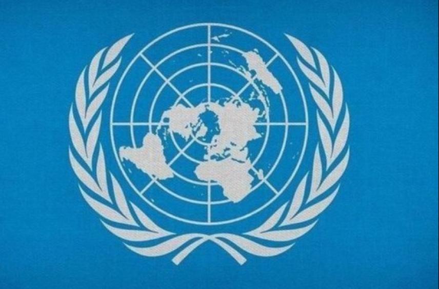 Страны Запада заблокировали российское заявление по Дамаску в ООН