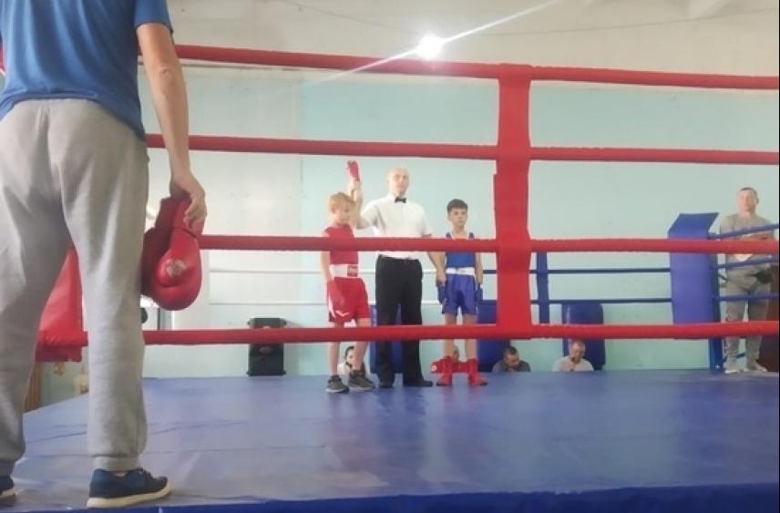 В костромском Галиче прошел межрегиональный турнир по боксу среди юниоров