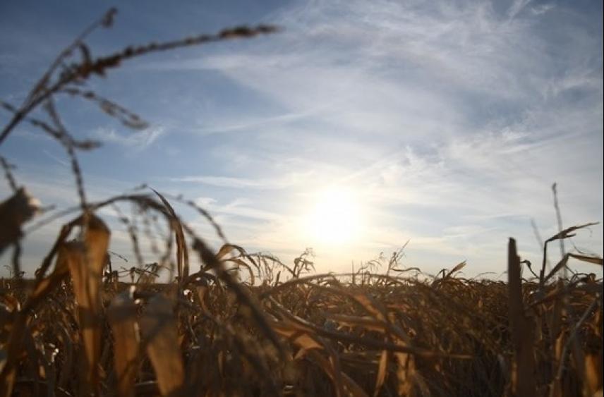 Чего нельзя делать в день Мануила и молодого Ярилы, 30 июня