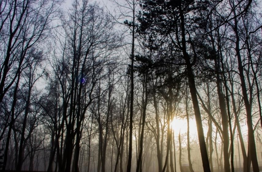 Туляков предупредили о резком ухудшении видимости на дорогах 27 ноября