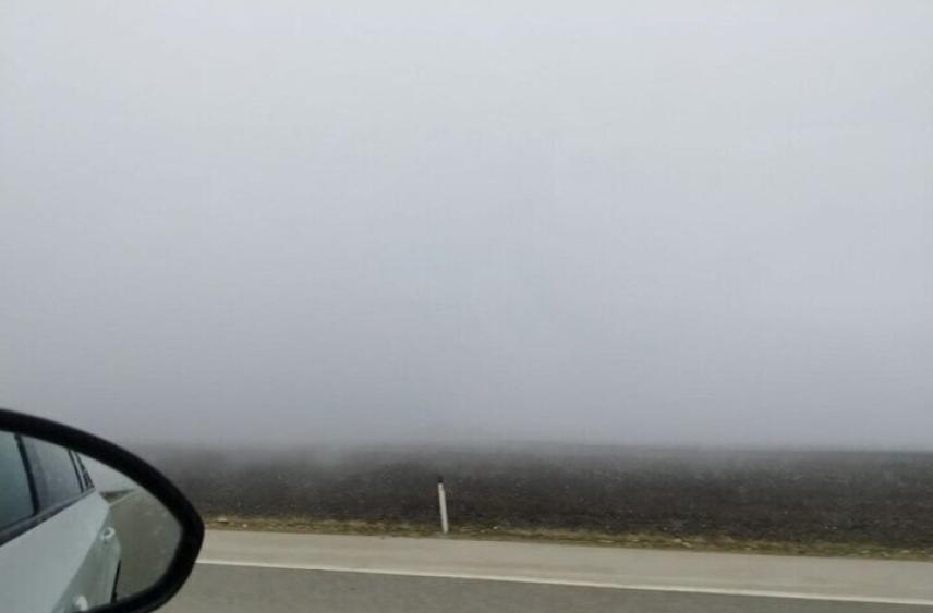 28 ноября в Белгородской области будет дождливо и туманно