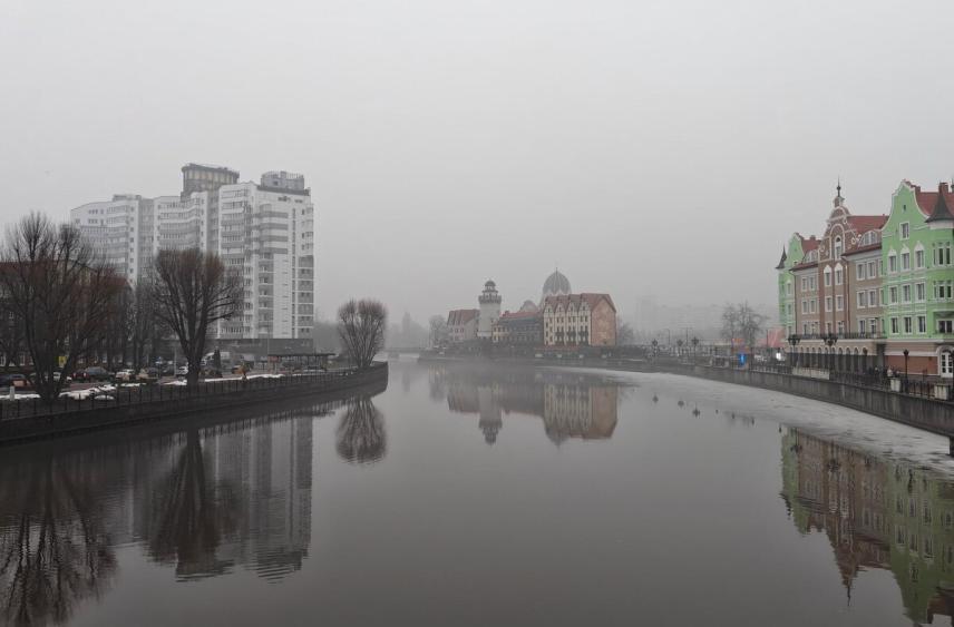 Из-за опасных бактерий в еде калининградский ресторан закрыли на месяц