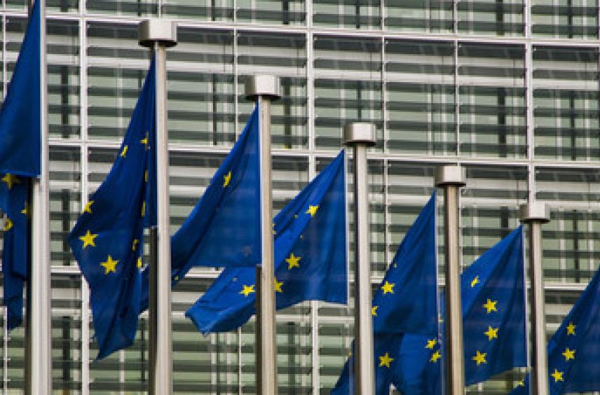 Член парламента Нидерландов Деккер обвинил Европу в срыве планов США по Украине