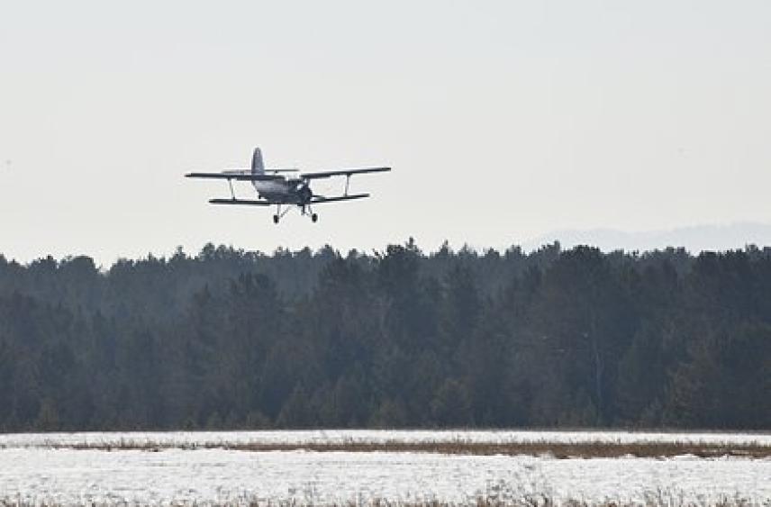 Пассажирский самолет повредил шасси и совершил жесткую посадку в российском аэропорту