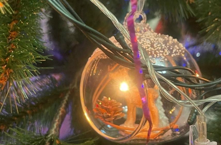 Новогодняя елка во дворе для жителей Ростовской области может обернуться крупным штрафом