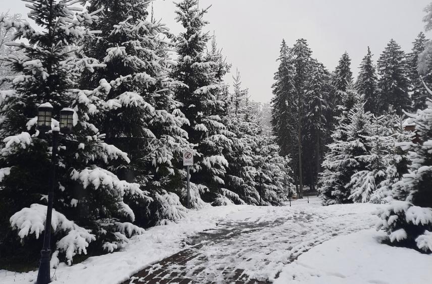 В Курске начали поиск новых экологичных площадок для хранения снега