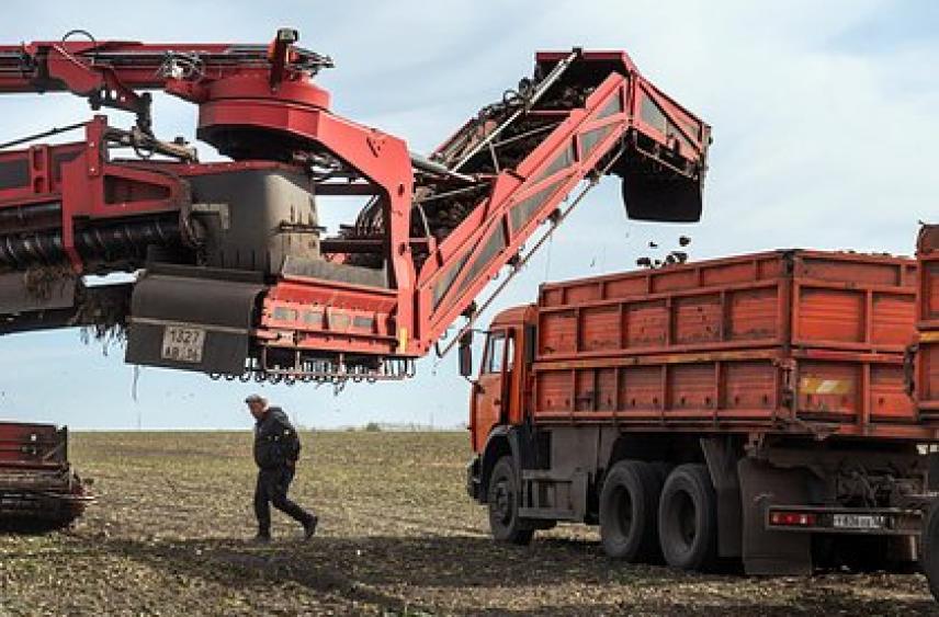 Стало известно о серьезной проблеме российских аграриев