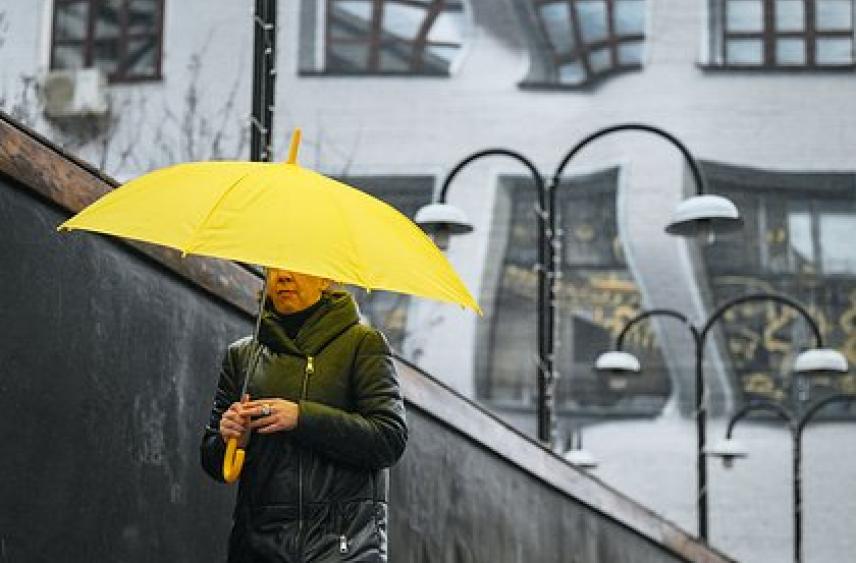 Москвичей предупредили об аномальном начале декабря