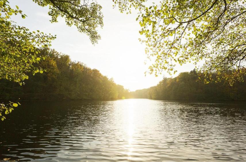 Более 200 км рек расчистят в новых регионах России до 2030 года