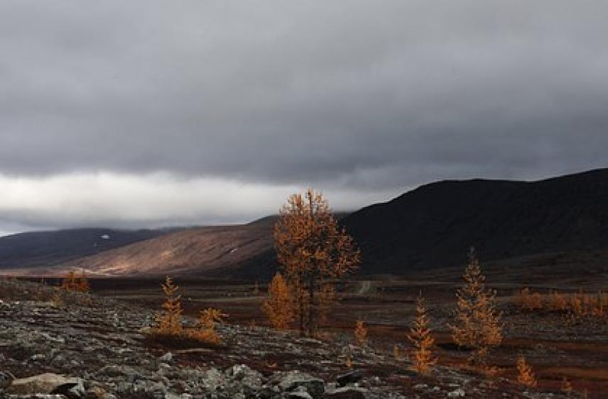 Пропавший в тайге вместе с семьей Усольцев хотел отправиться на перевал Дятлова