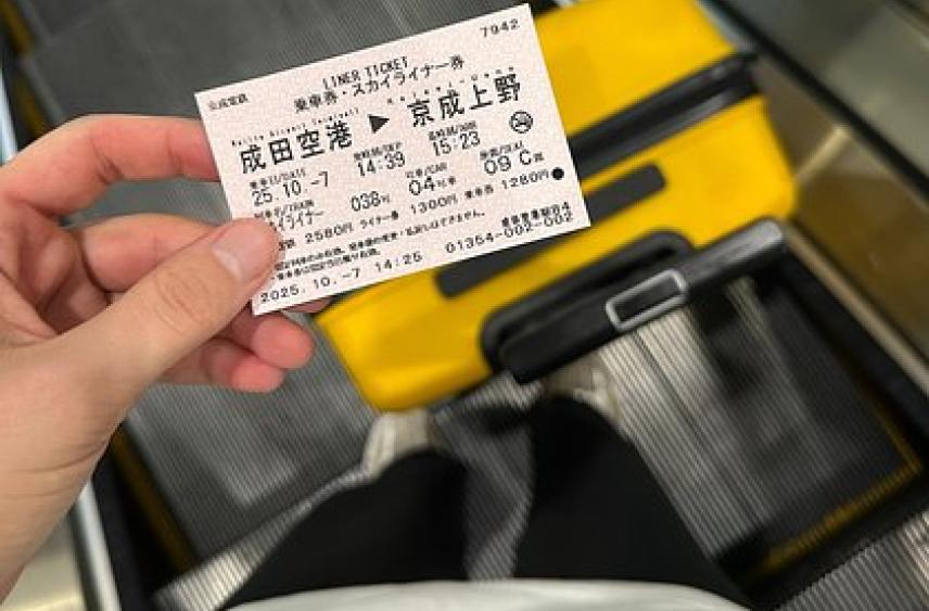 Российская тревел-блогерша побывала в Японии и раскрыла траты на еду в поездке