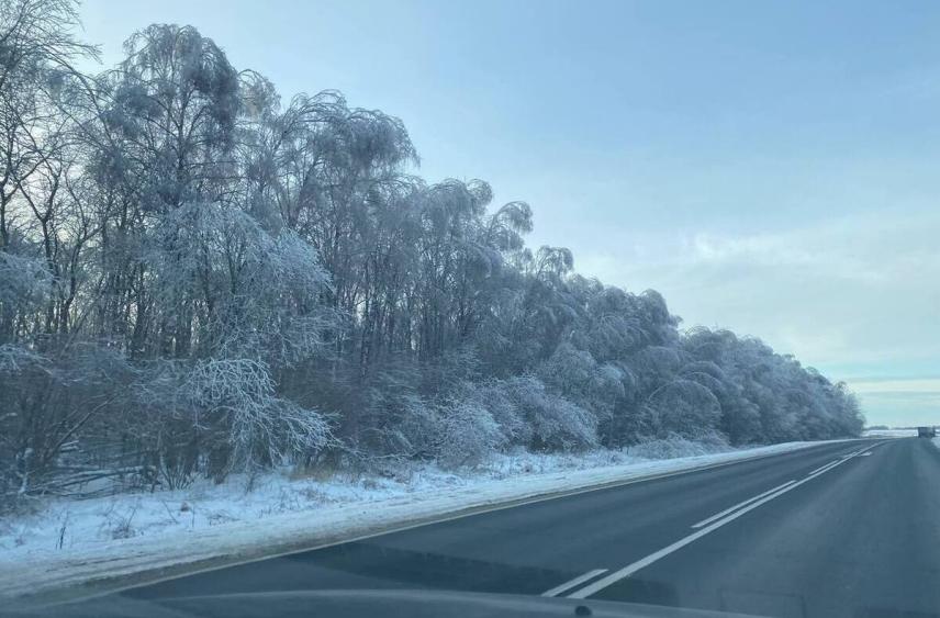 Дорогу Заполярный — Сальмиярви откроют для движения
