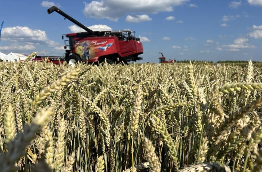 На Брянщине вырос выпуск продукции сельского хозяйства