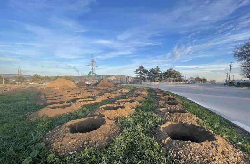На въезде в Бахчисарай создают «Лавандовое кольцо»