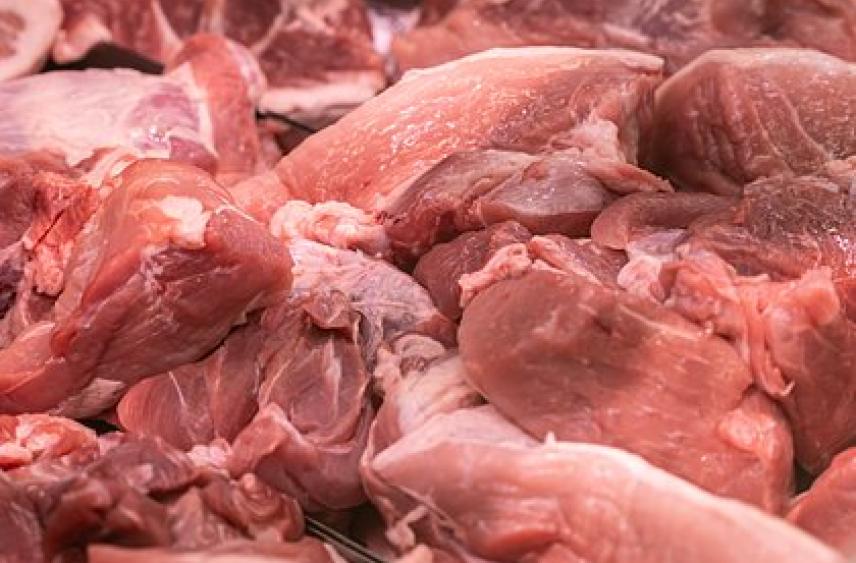 России спрогнозировали рост вывоза одного вида продукции в Китай